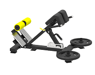 Adjustable Lower Back Bench